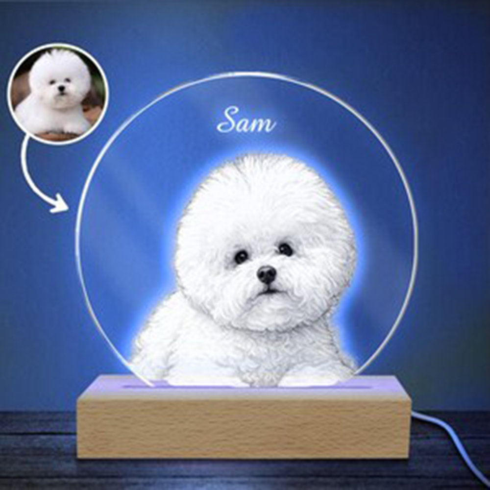 Pet Portrait Personalized LED  - Unique Lighting Decor reseña y precio