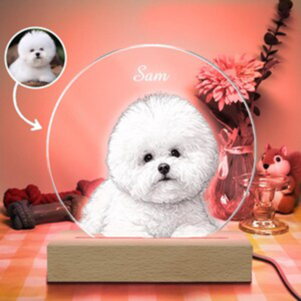Pet Portrait Personalized LED  - Unique Lighting Decor reseña y precio