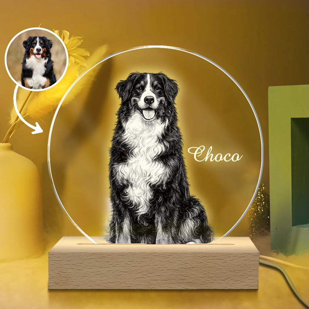 Pet Portrait Personalized LED  - Unique Lighting Decor reseña y precio